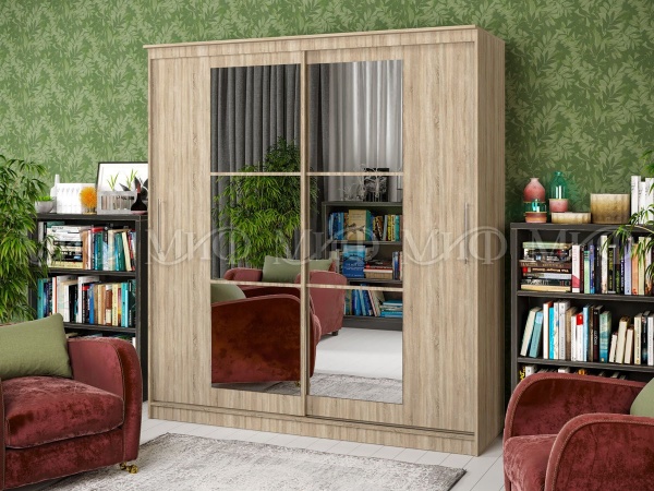 Шкаф-Купе Элвис-3 (Ш-1500/1700/2000 × В-2200 х Г-650 мм)/Разные Цвета